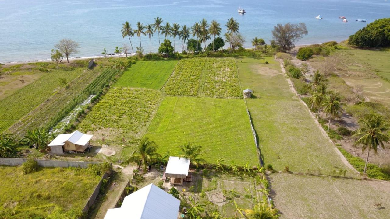 The Daun Puntik Homestay Pemenang المظهر الخارجي الصورة