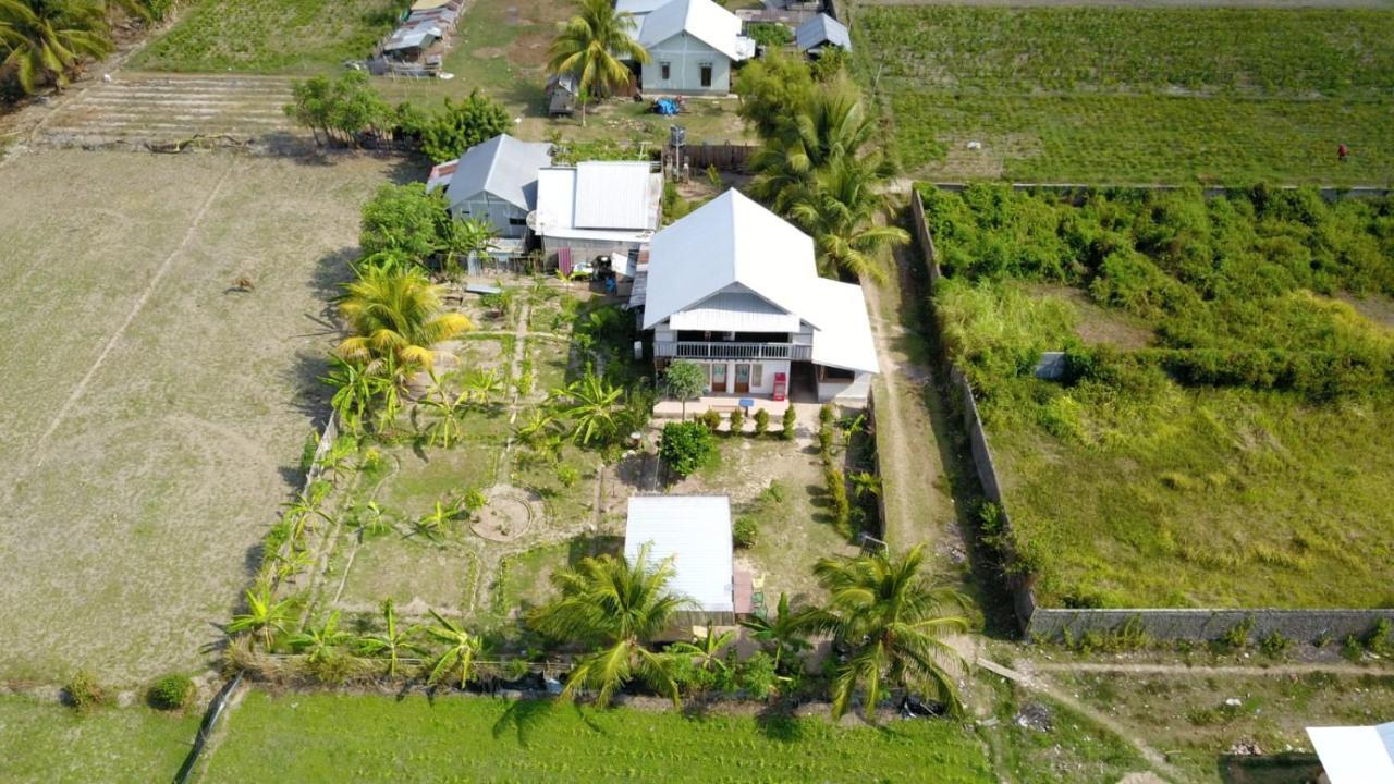 The Daun Puntik Homestay Pemenang المظهر الخارجي الصورة
