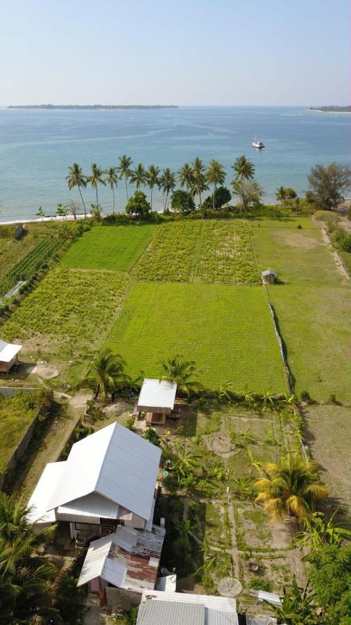 The Daun Puntik Homestay Pemenang المظهر الخارجي الصورة