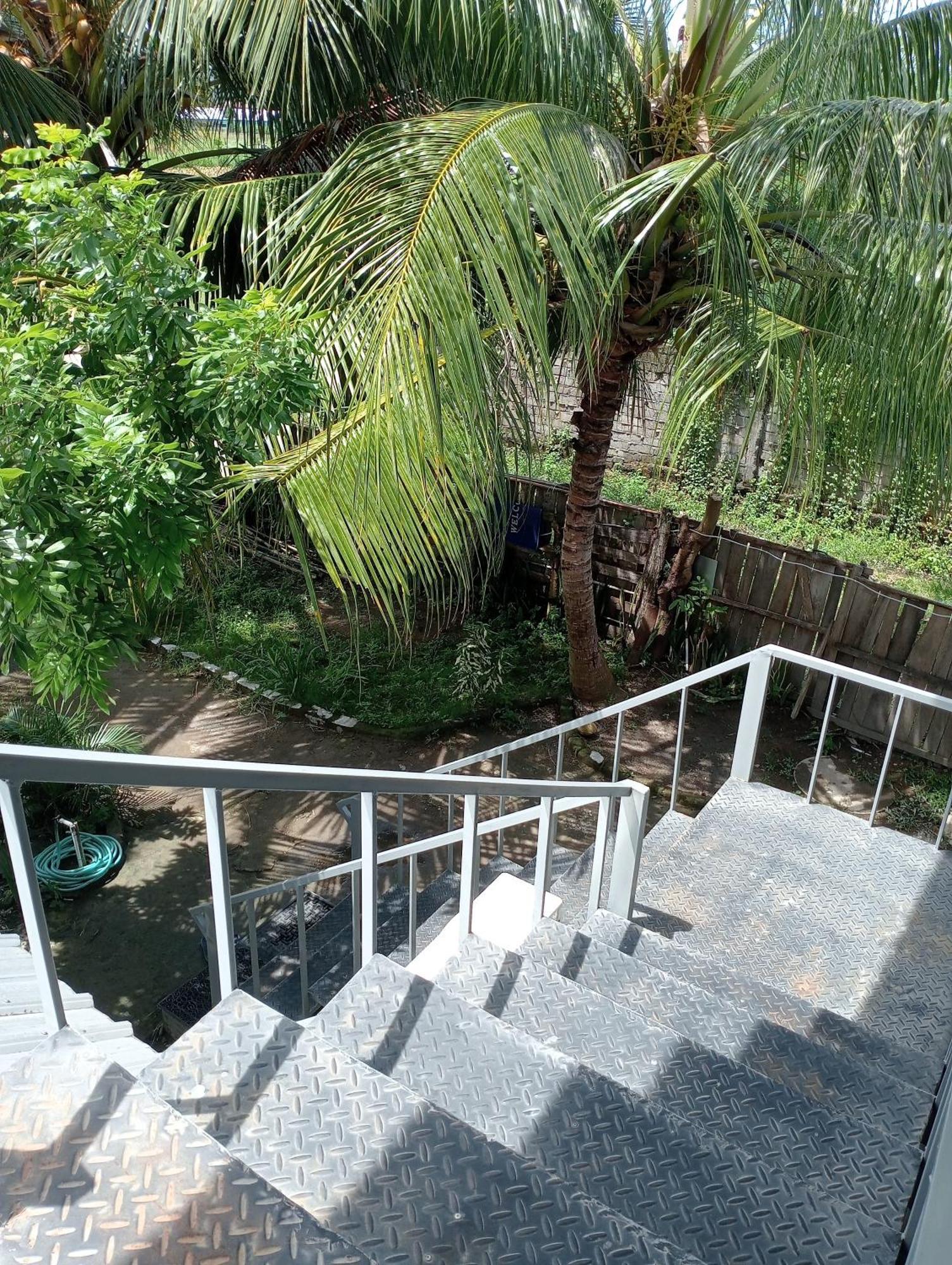 The Daun Puntik Homestay Pemenang المظهر الخارجي الصورة