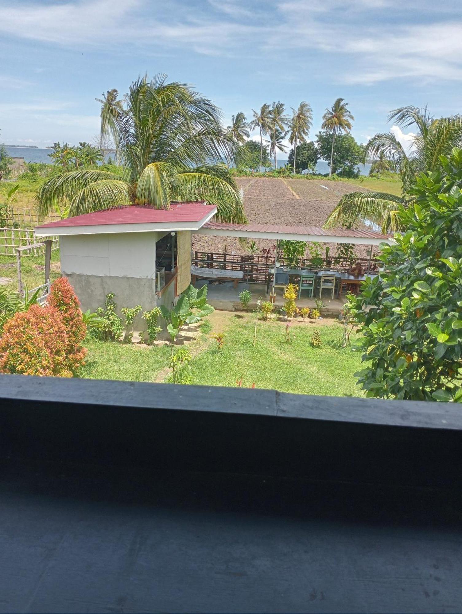 The Daun Puntik Homestay Pemenang المظهر الخارجي الصورة