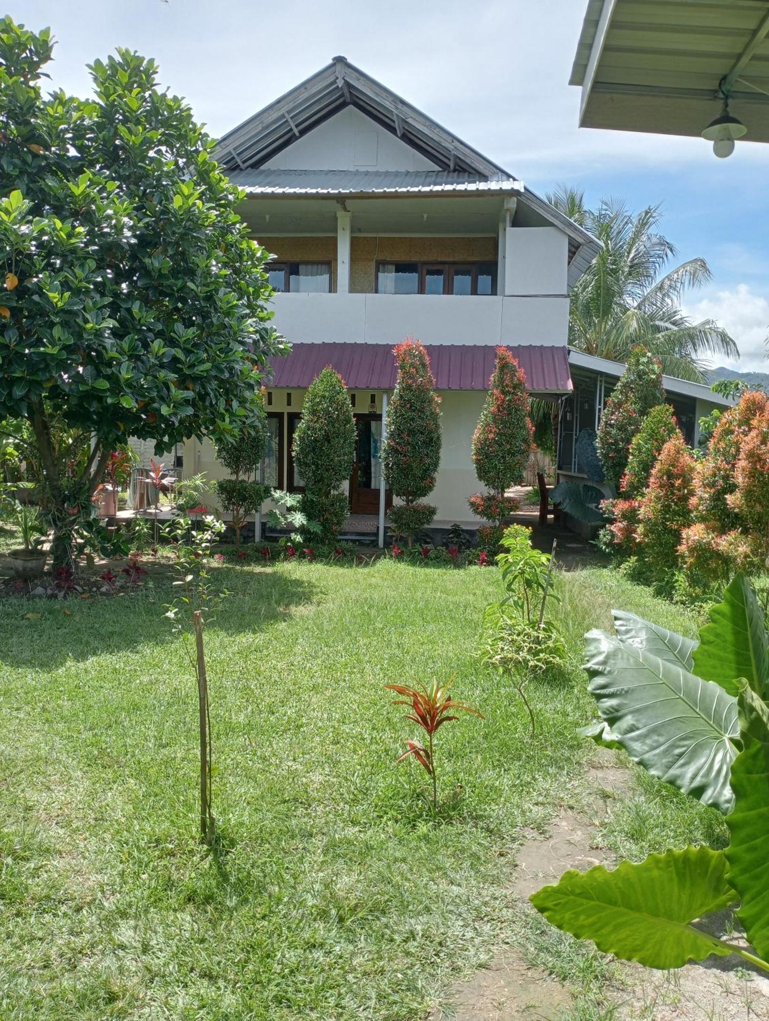 The Daun Puntik Homestay Pemenang المظهر الخارجي الصورة