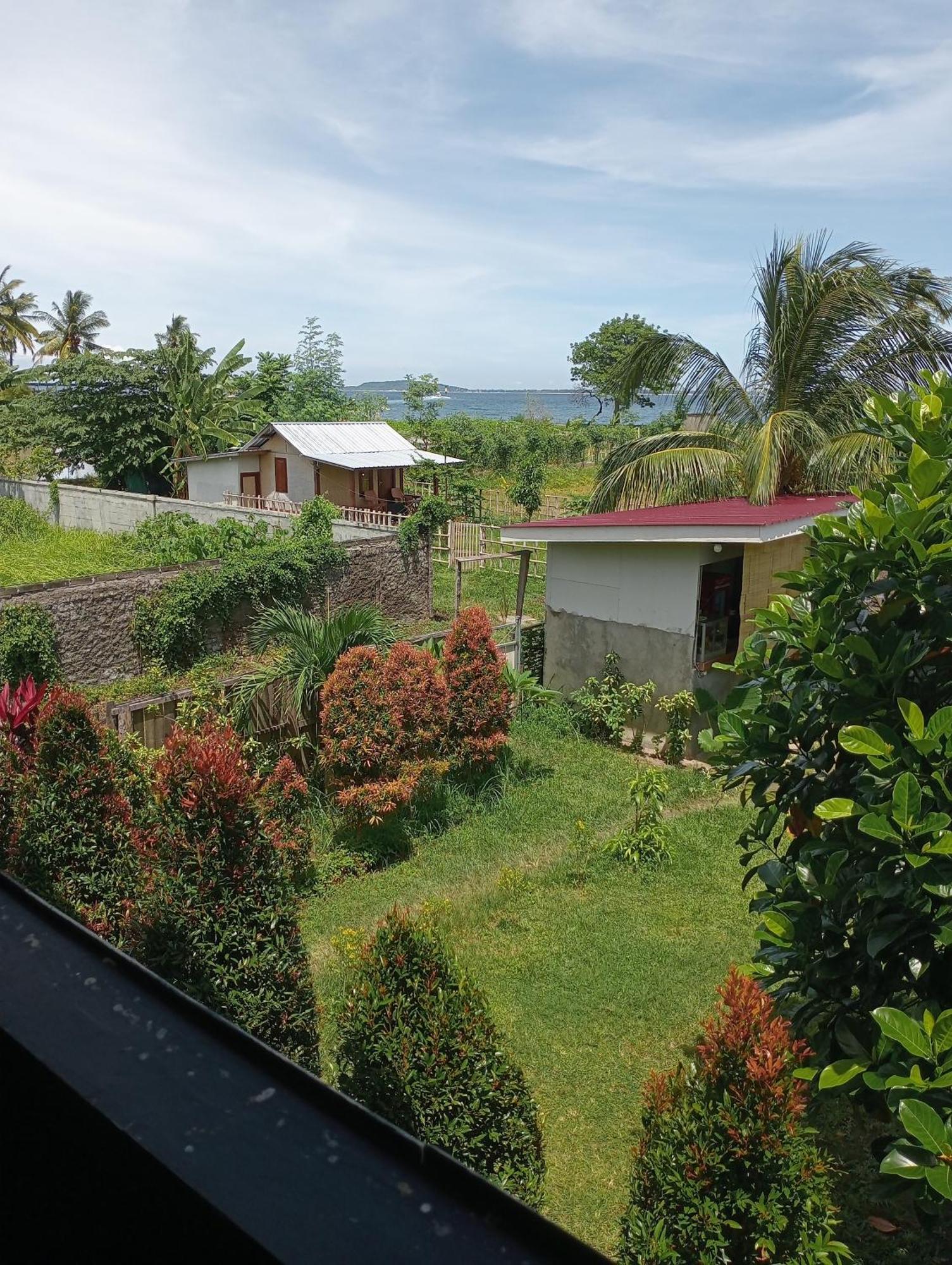 The Daun Puntik Homestay Pemenang المظهر الخارجي الصورة
